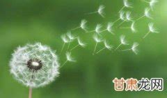 寓意是什麼|寓意的意思